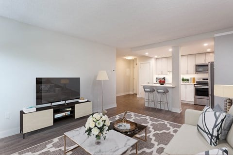 Spacious living room and kitchen area